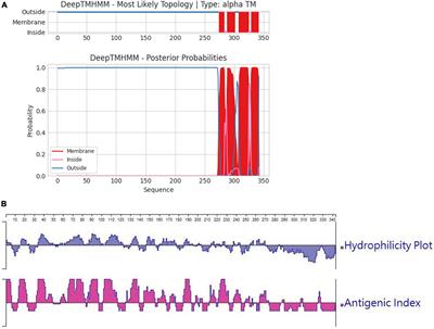 Screening and characterization of a novel linear B-cell epitope on orf virus F1L protein